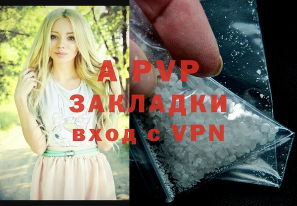 гидра Володарск