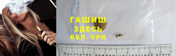 гидра Володарск